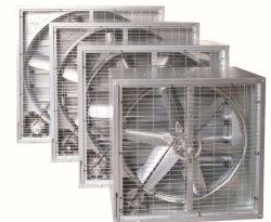 ֪ʲôؓL(fng)C(hu )a(chn)